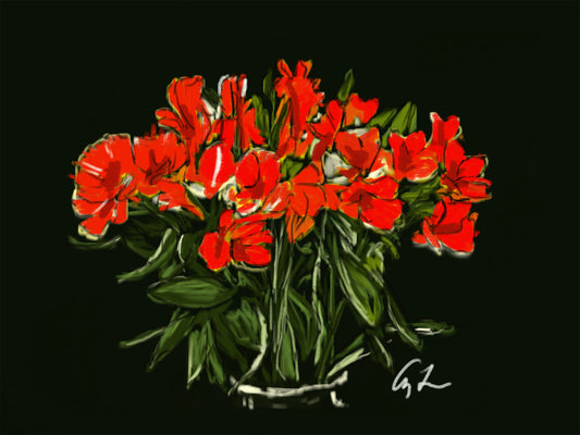 Peruvian Lilies - Alstroemeria in C# Major - 16" x 20" Canvas Print